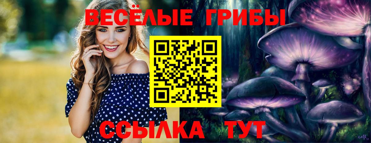 Дальнегорск  Галлюциногенные грибы мицелий  Галлюциногенные грибы GOLDEN TEACHER  Вход с VPN 