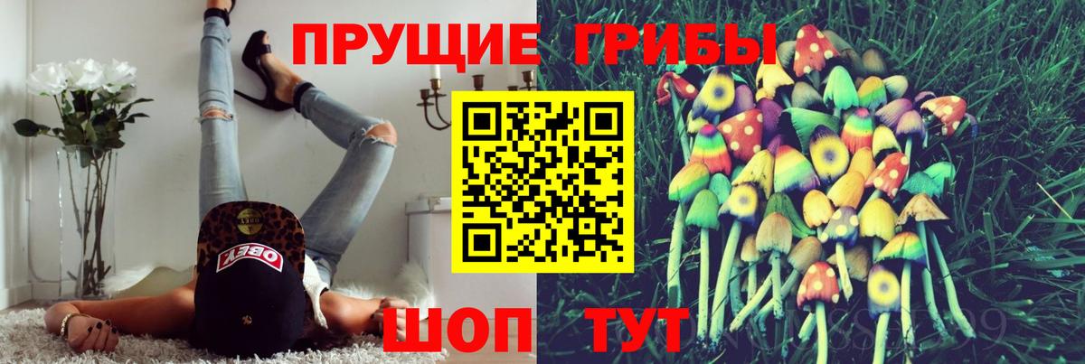 Галлюциногенные грибы Psilocybe Дальнегорск
